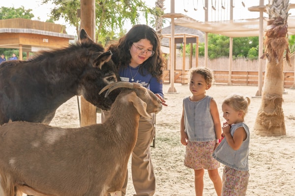 Adventures Cabo: Beyond the Beach
