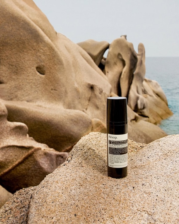 Aesop Review