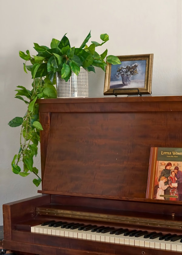 Afloral Natural Touch Pothos Artificial Plant - 48" Review