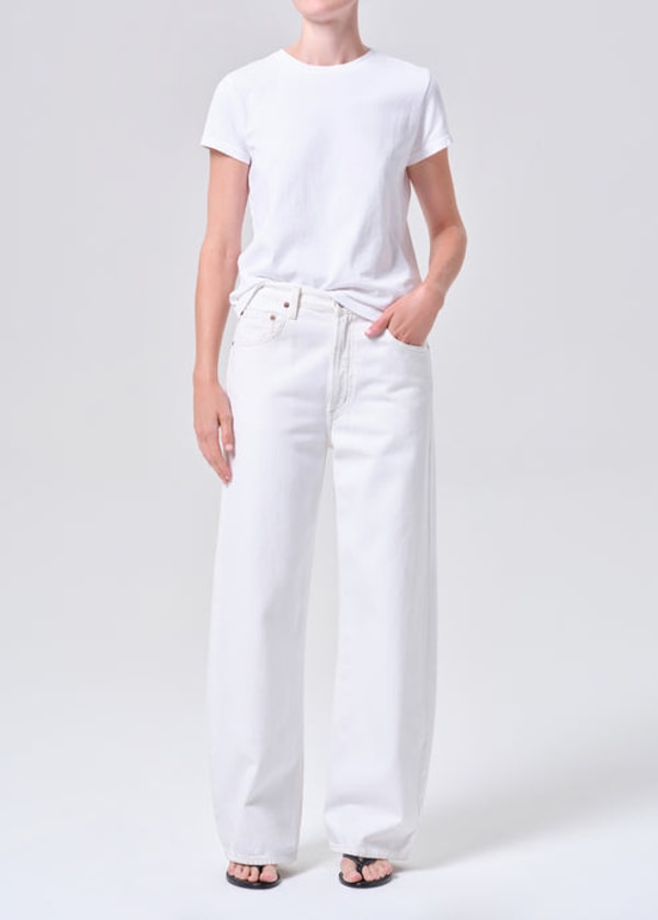 AGOLDE Low Curve Jean Review