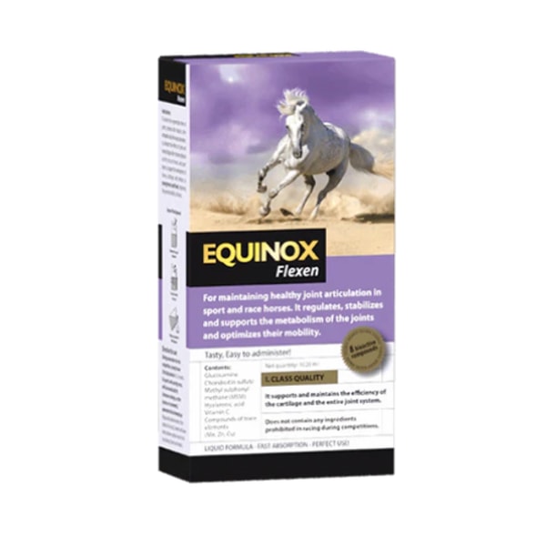 AHIPOS Horses EQUINOX Flexen Bewertung