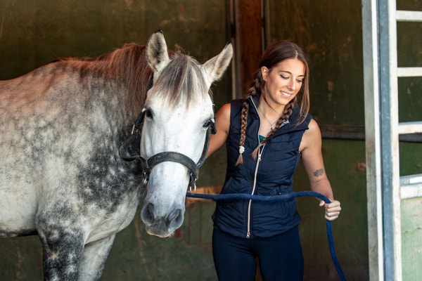 &Uuml;berblick &uuml;ber AHIPOS Horses Erg&auml;nzungsfuttermittel