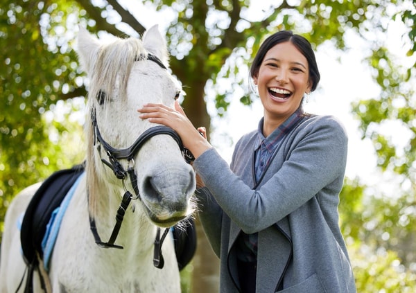 AHIPOS Horses Bewertung