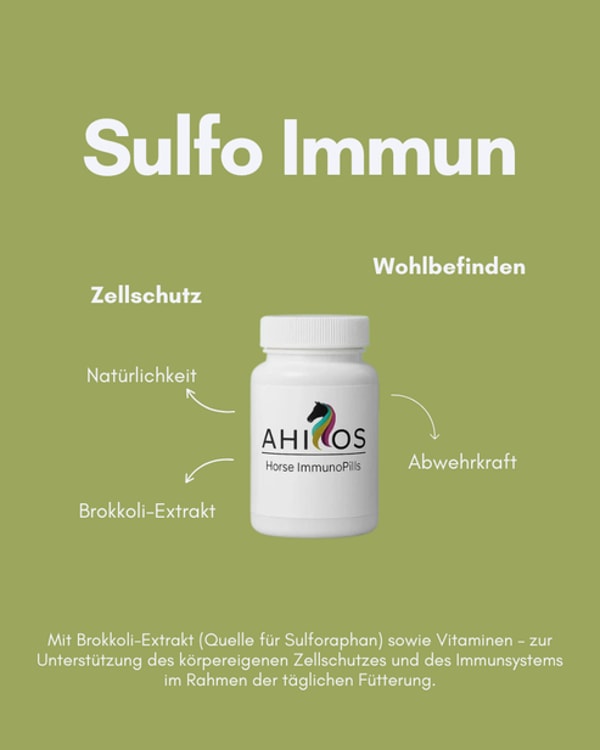 AHIPOS Horses SULFO IMMUN Bewertung