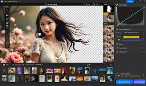 Aiarty AI Image Matting Review