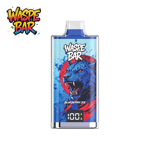 Aiviou Vapes WASPE Bar 60K Review