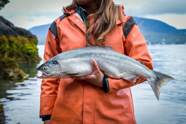 About Alaskan Salmon Company