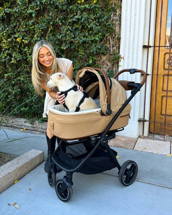 Albee Baby Review