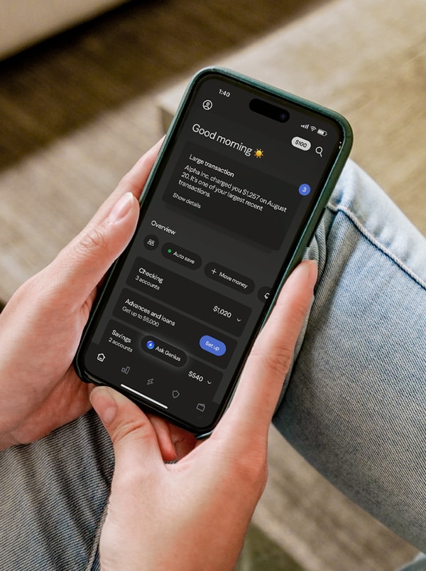 Albert Instant Advance Review
