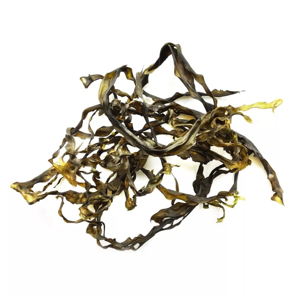 Algenliebe Laminaria saccharina Review