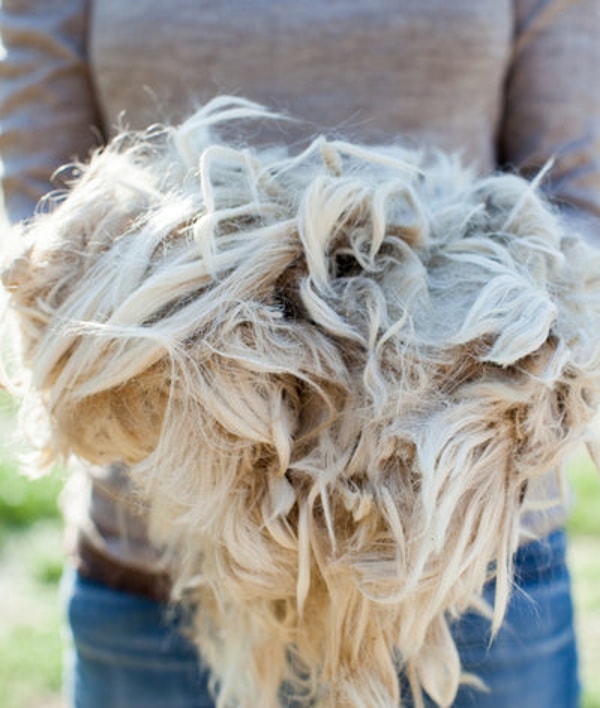 Alicia Adams Alpaca Review