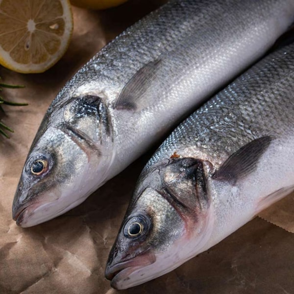 All Fresh Seafood Review