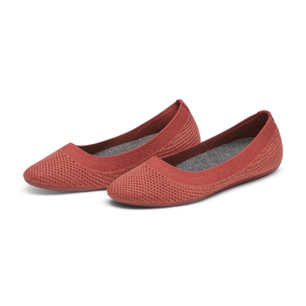 Allbirds Tree Breezer Review