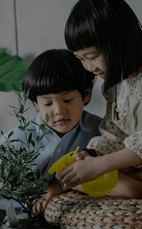 关于 Allianz Home Insurance