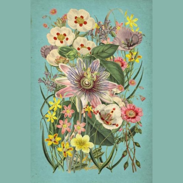Allposters Vintage Flowers on Teal Wall Art Print Review