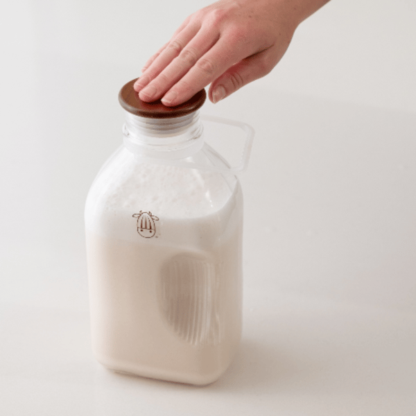 Almond Cow Glass Jug Review