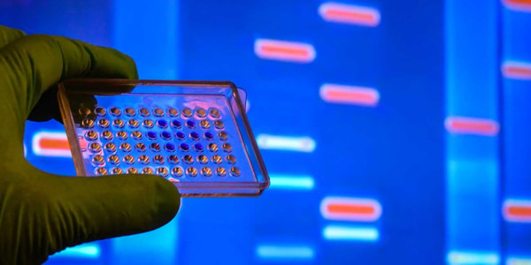AlphaBiolabs Prenatal Paternity Test Review