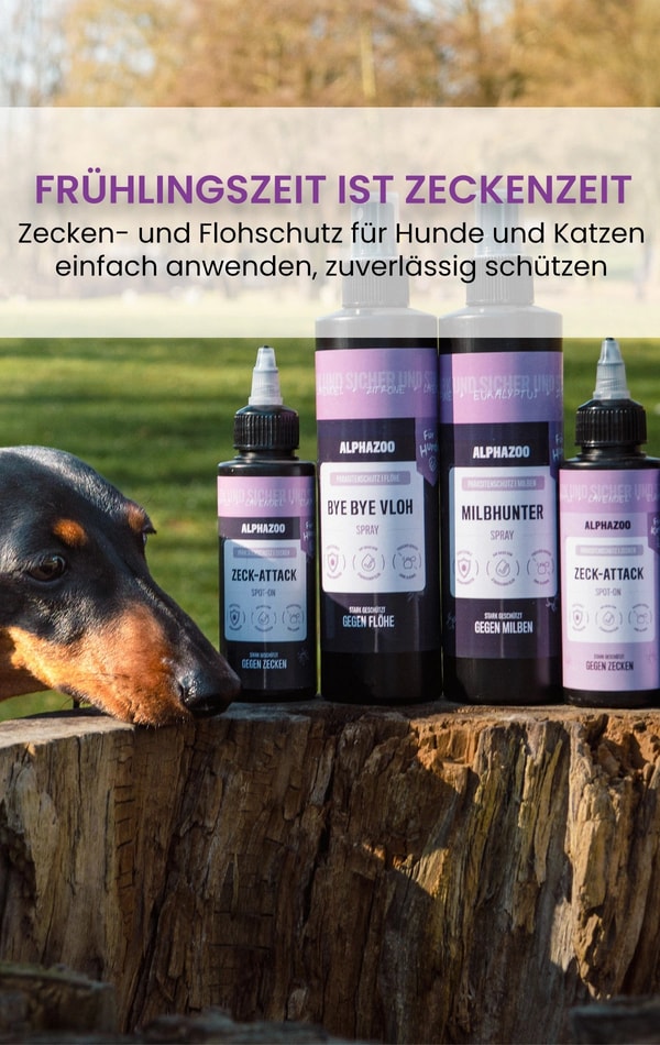 ALPHAZOO - Nachhaltige Tierprodukte aus Dortmund