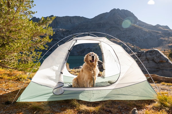 Overview of ALPS Mountaineering