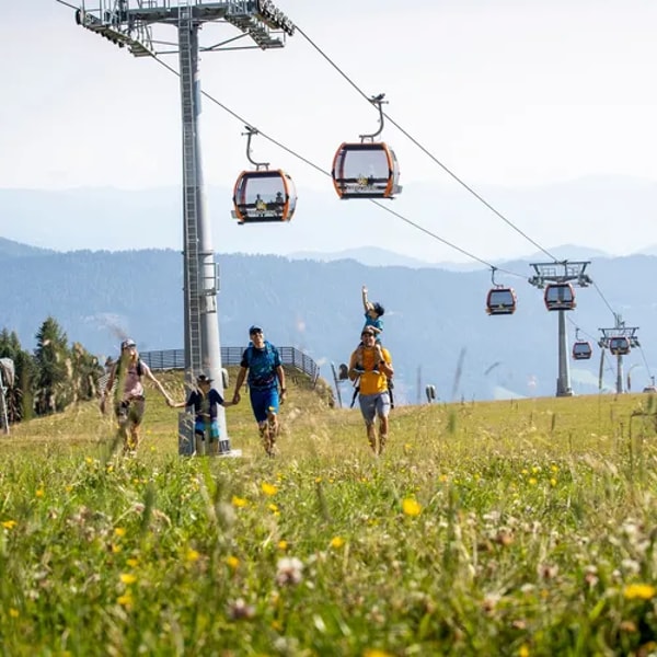 ALPS RESORTS Bewertung