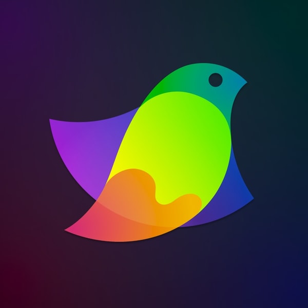 Amadine vs Affinity Designer