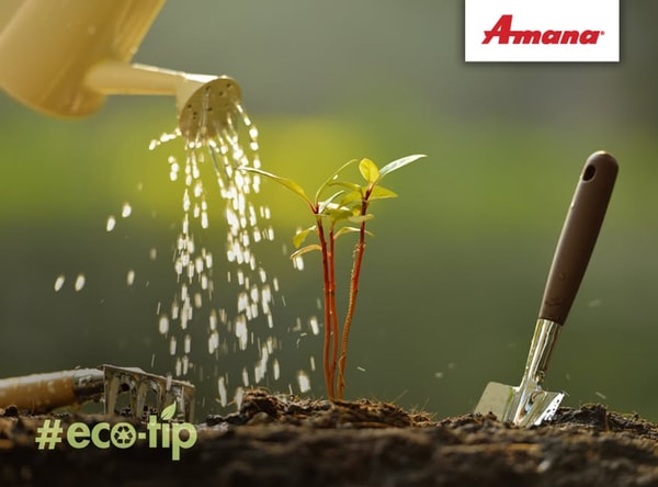 Amana Review