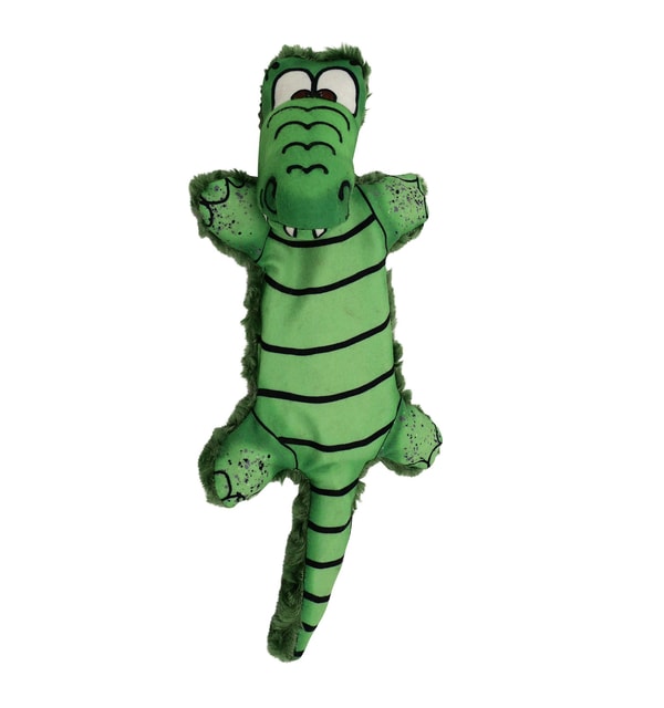 American Dog Allie Gator Review