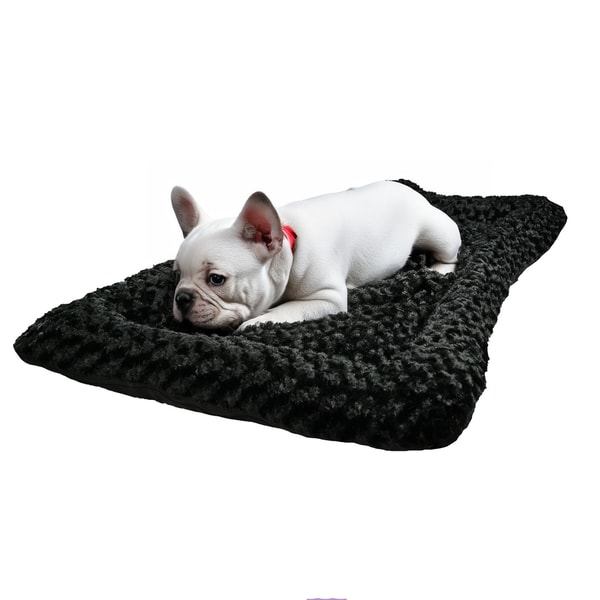 American Dog Rectangle Bolstered Furvana 'Cloud' Review