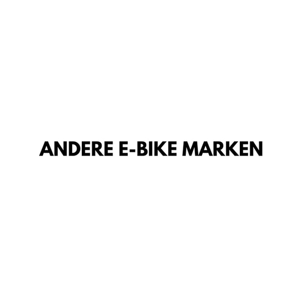 Deruiz vs Andere E-Bike Marken
