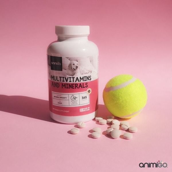 About Animigo
