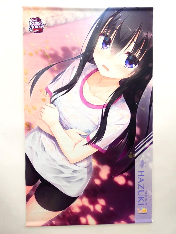 Aniposについて