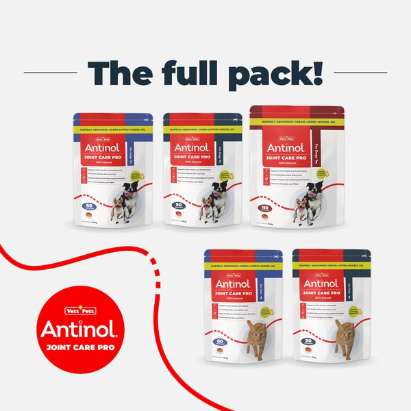 Antinol Review