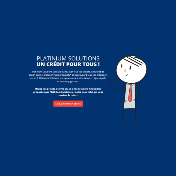 Aper&ccedil;u de Platinium Solutions