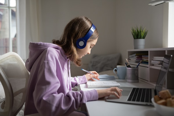 Apex Learning Review
