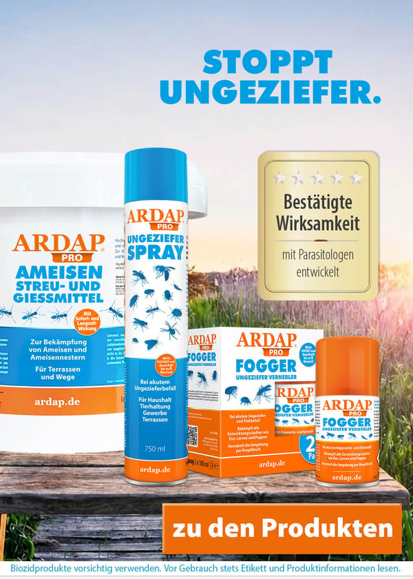 &Uuml;berblick &uuml;ber ARDAP
