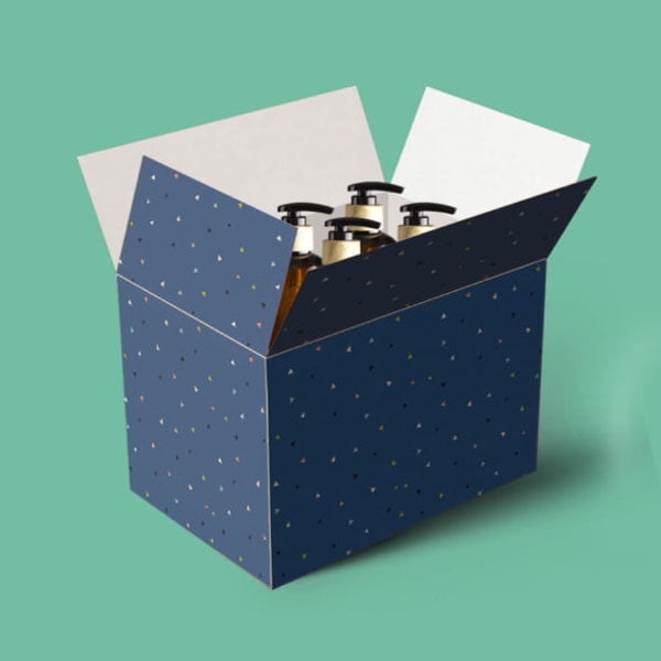Arka Shipping Boxes (RSC Cartons) Review