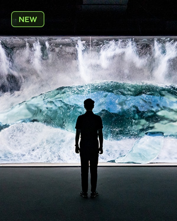 Arte Museum Dubai Standard Admission Ticket مراجعة