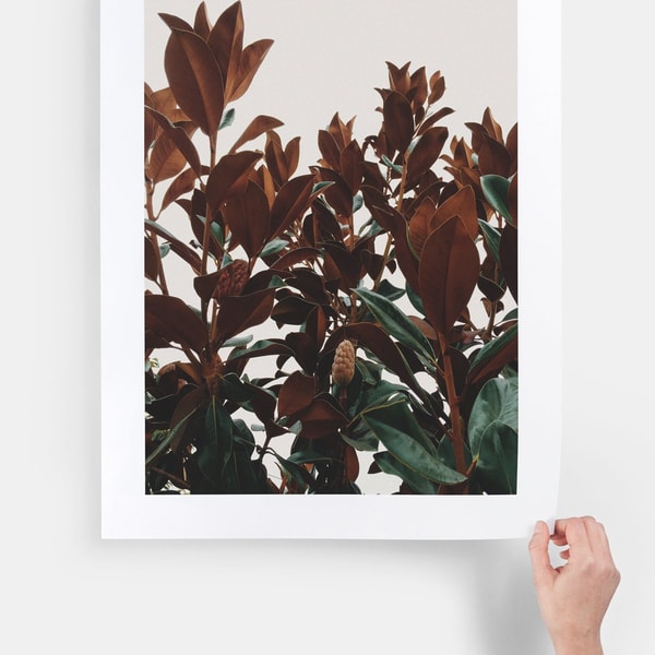 Artifact Uprising Large Format Prints 8 x 10 Reviews
