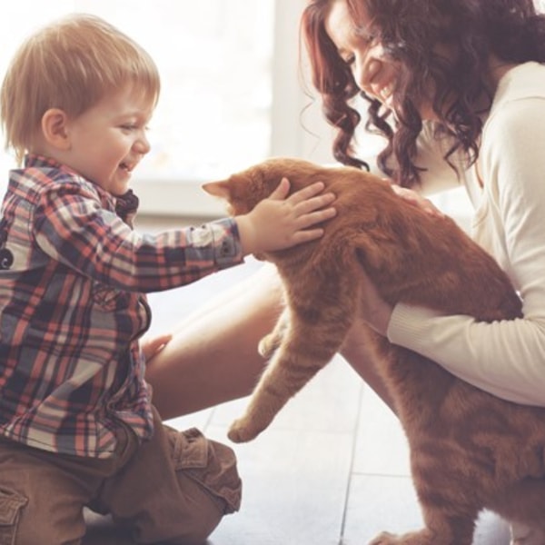Asda Money Pet Insurance Review