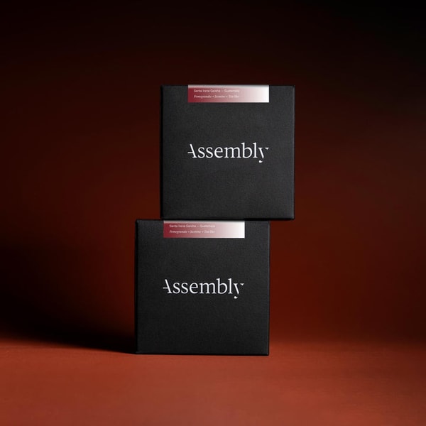 Assembly Coffee Guatemala Santa Irene Geisha Reviews