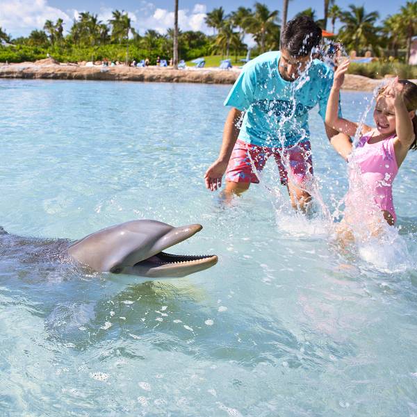 Atlantis Paradise Island Dolphin Cay Review