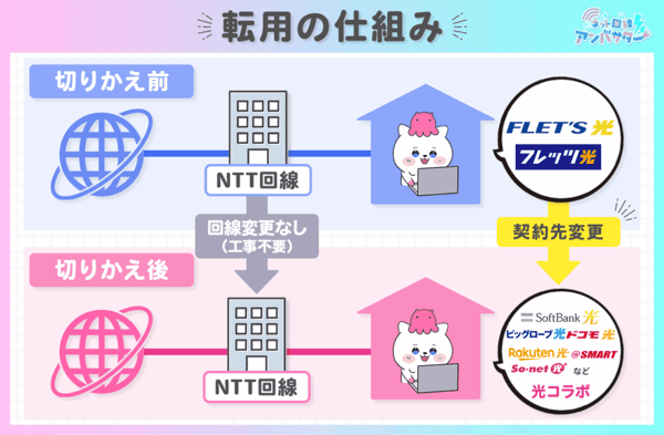 AUN Company レビュー