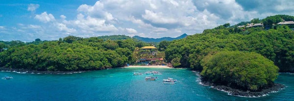 Aunt Betty Flights to Bali Reviews