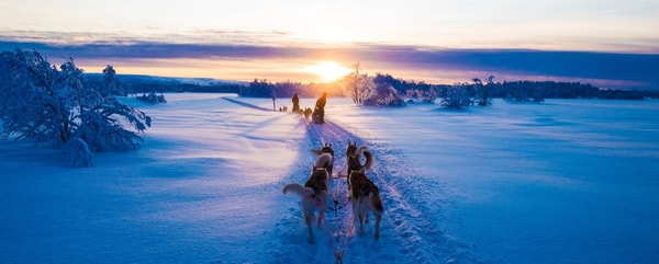 About Authentic Scandinavia