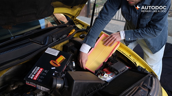 Overzicht van Autodoc