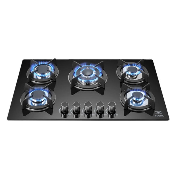 Avera Parrilla de gas 5 quemadores Rese&ntilde;a