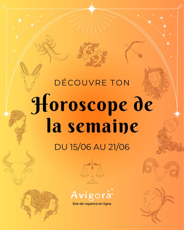 &Agrave; propos de Avigora