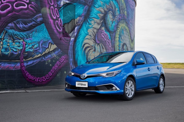 Get to Know Avis Car Rental