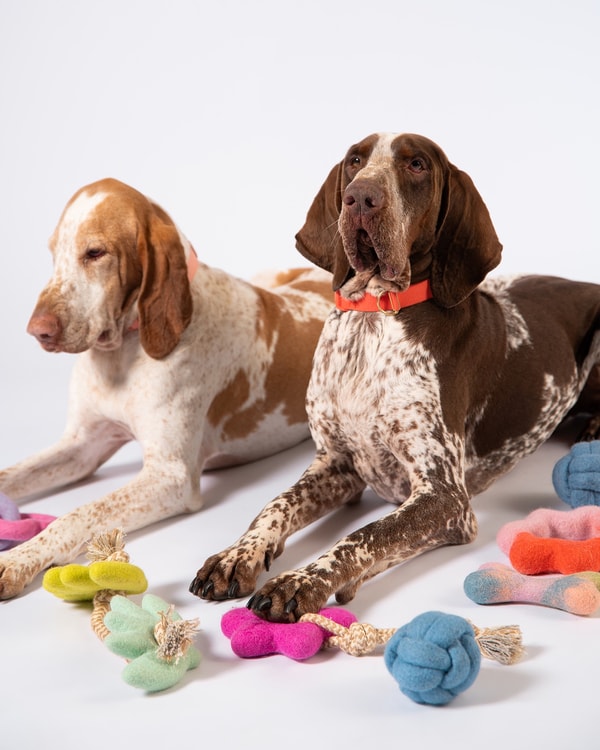 Awoo Pets Review