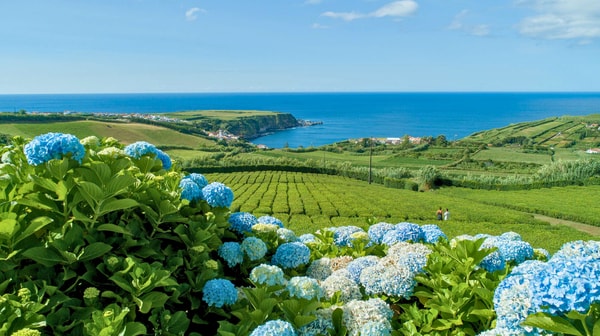 Azores S&atilde;o Miguel: Highlights Tour Review